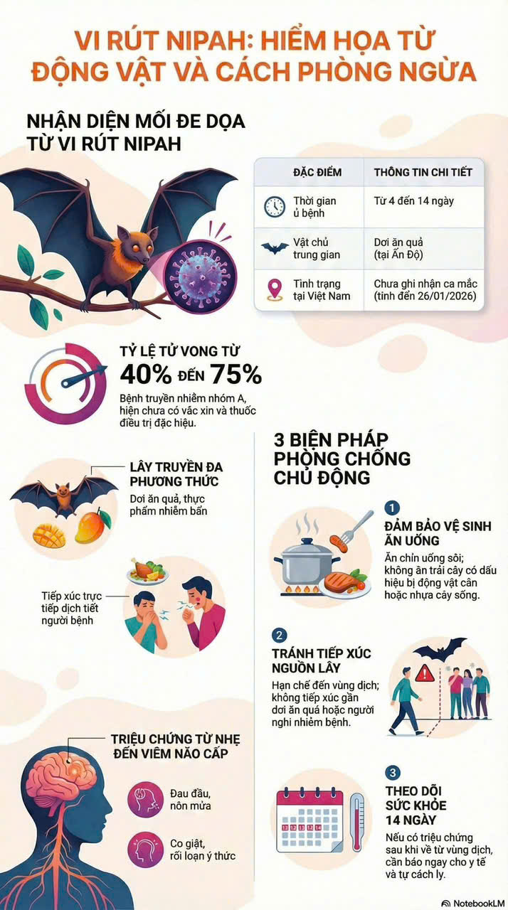 BÀI TUYÊN TRUYỀN PHÒNG CHỐNG DỊCH BỆNH NIPAH TẠI TRƯỜNG MG HOA MAI